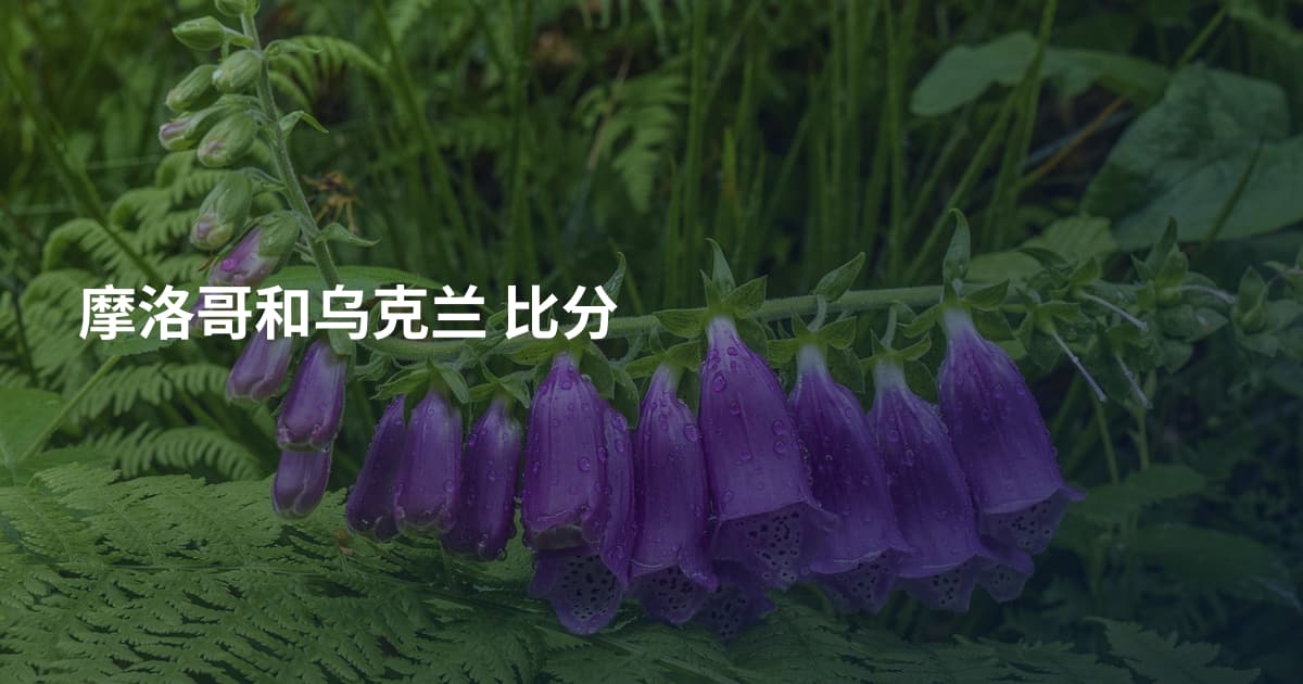 摩洛哥和乌克兰 比分