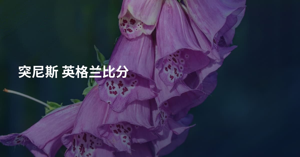 突尼斯 英格兰比分