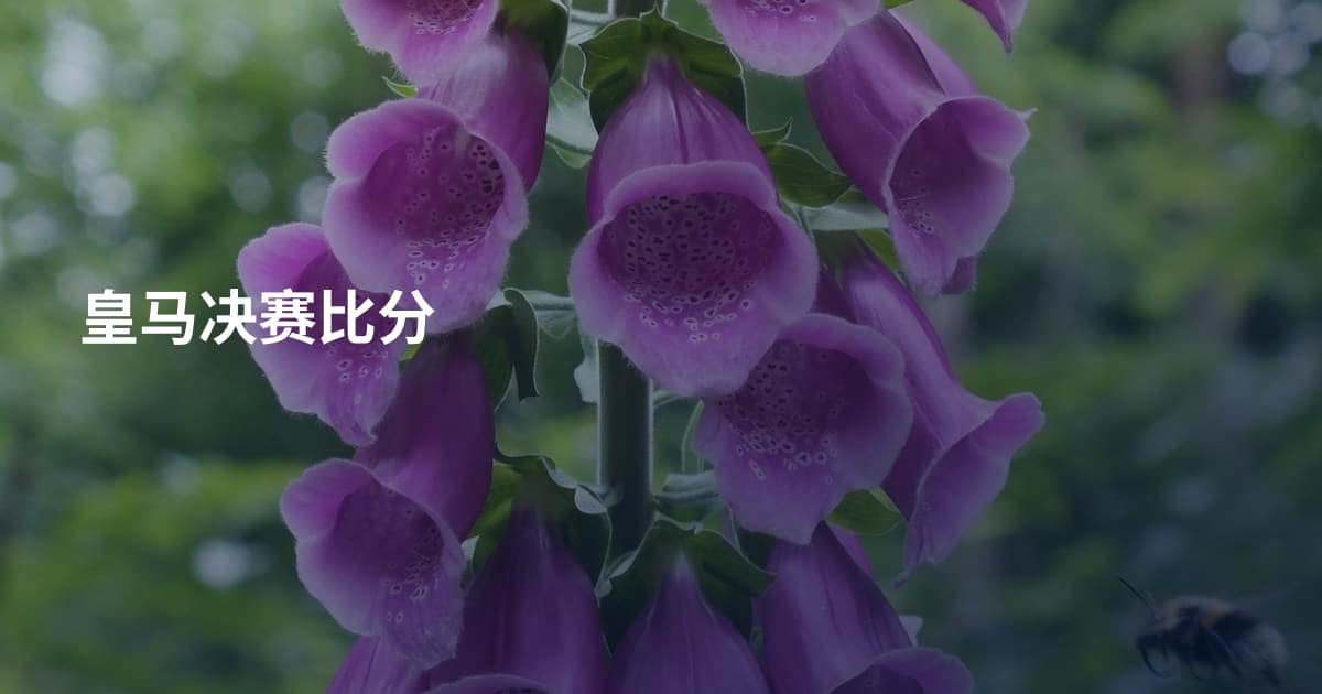 皇马决赛比分
