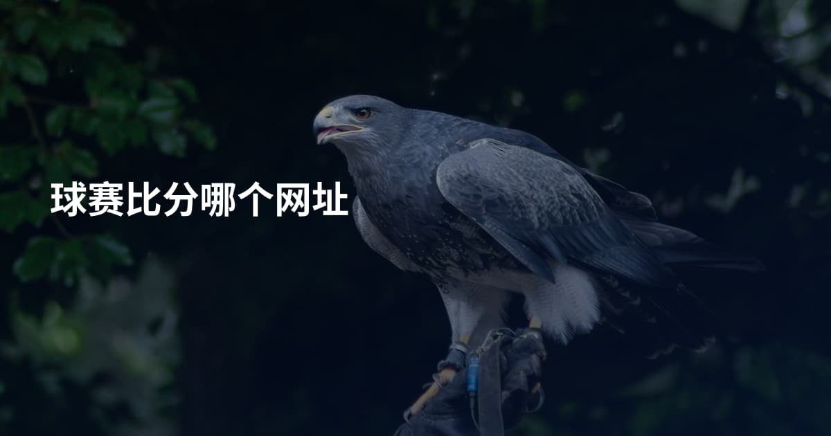 球赛比分哪个网址