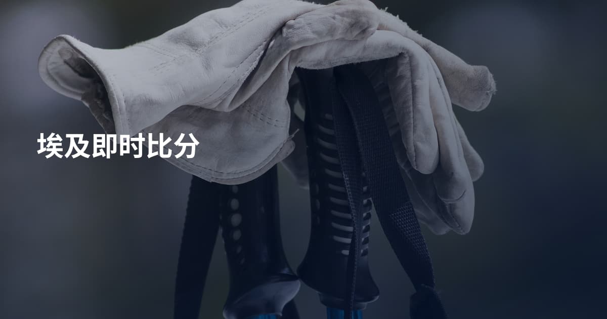埃及即时比分
