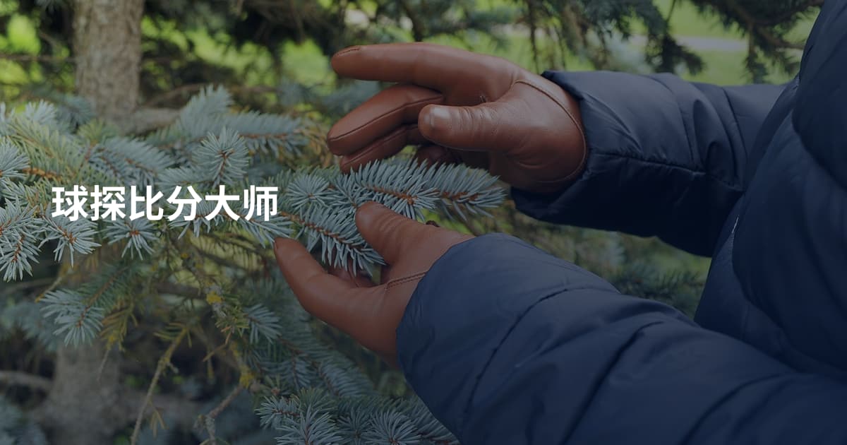 球探比分大师