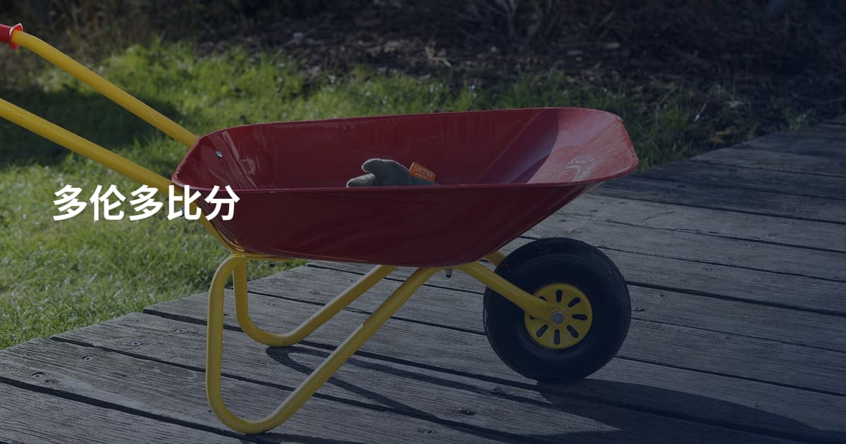 多伦多比分