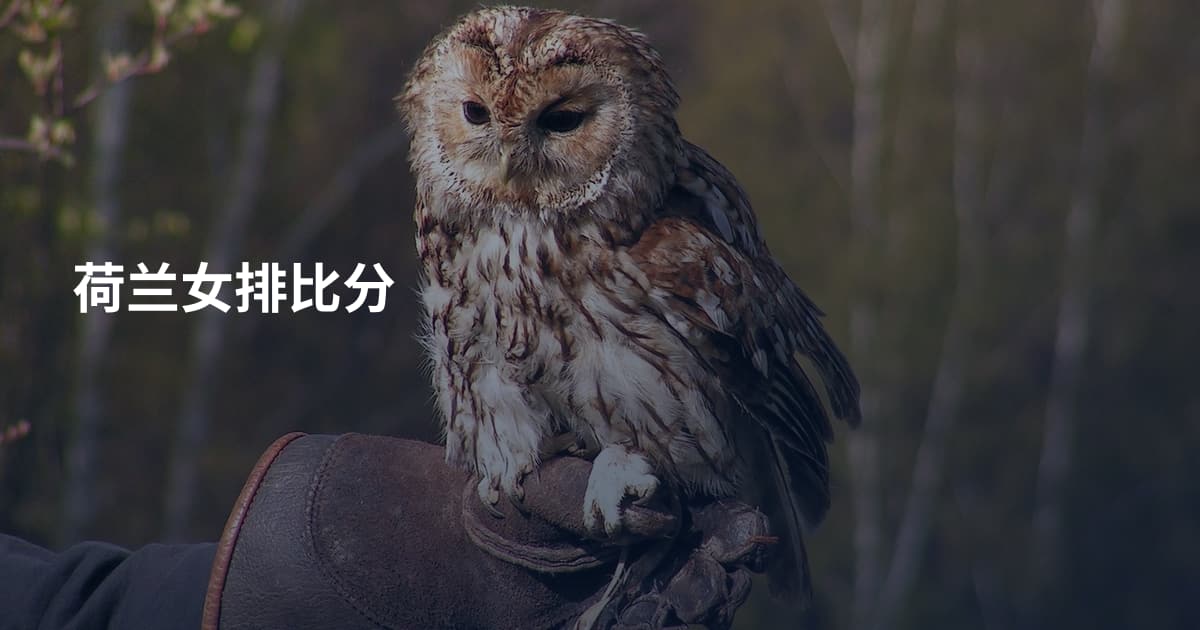 荷兰女排比分