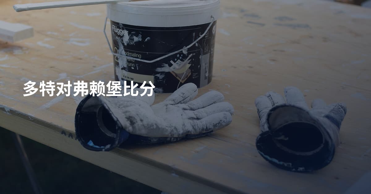 多特对弗赖堡比分