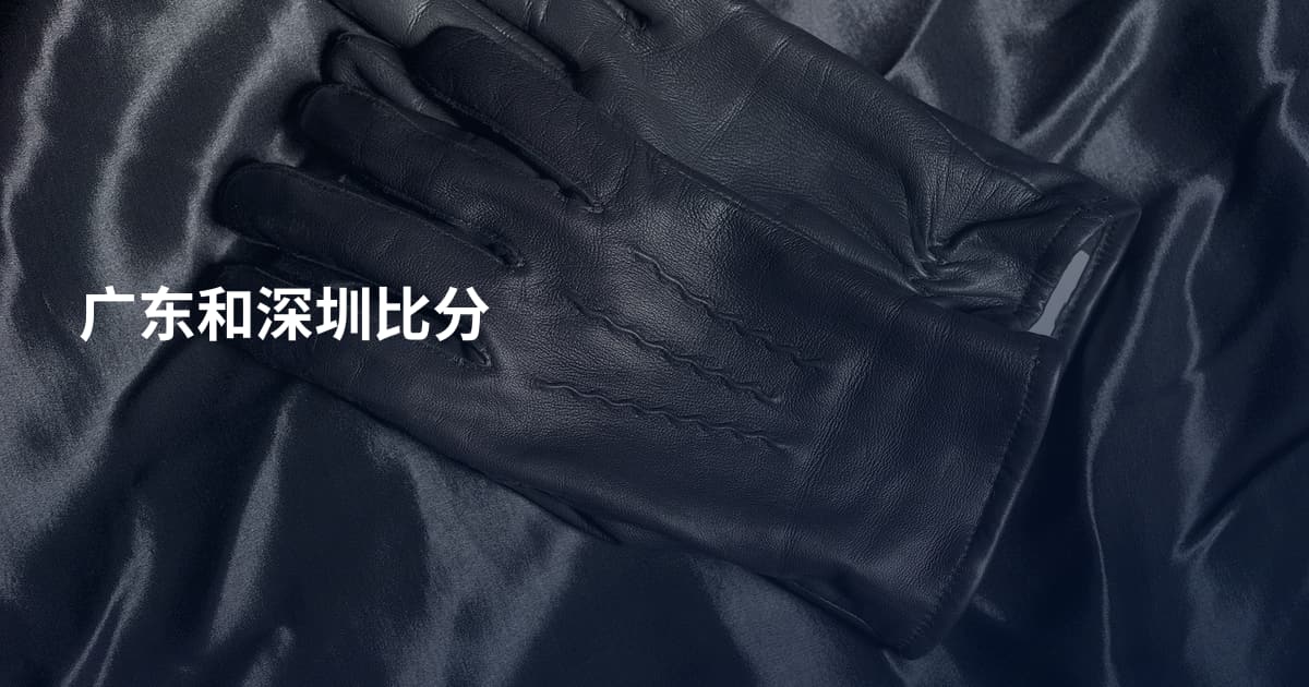 广东和深圳比分