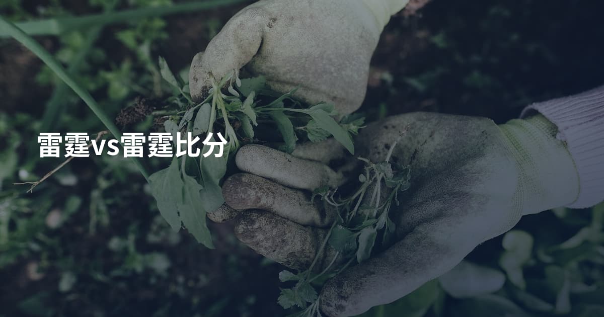 雷霆vs雷霆比分