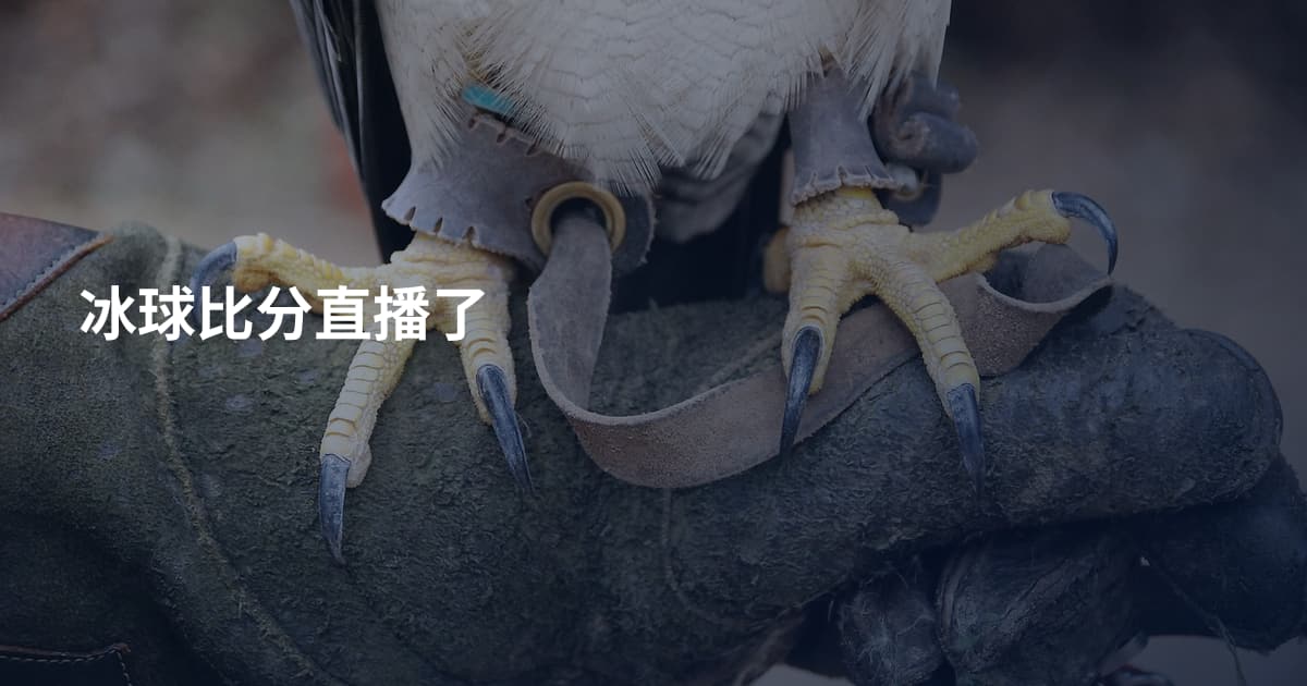 冰球比分直播了
