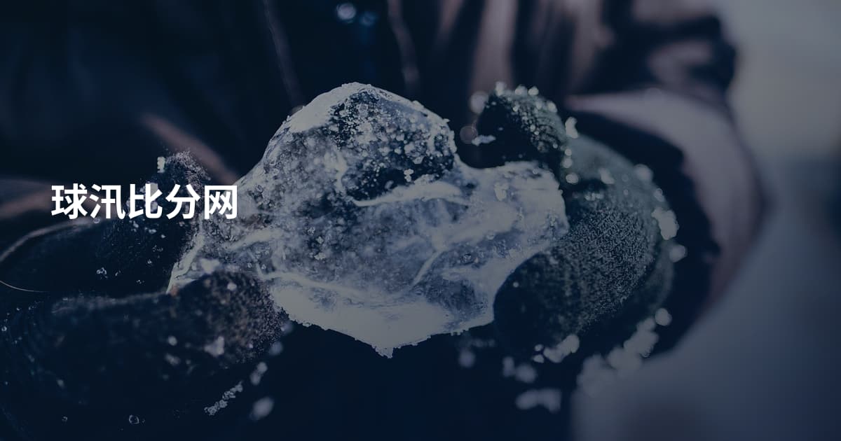 球汛比分网