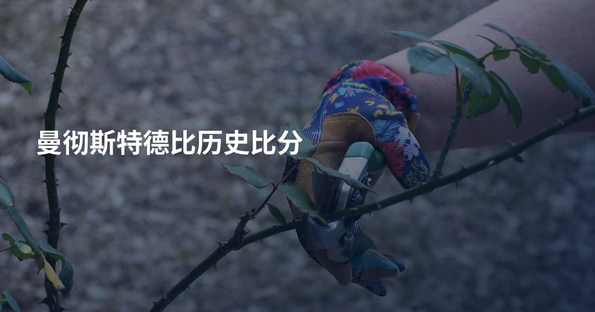 曼彻斯特德比历史比分