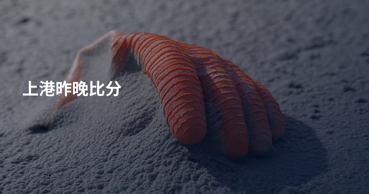 上港昨晚比分