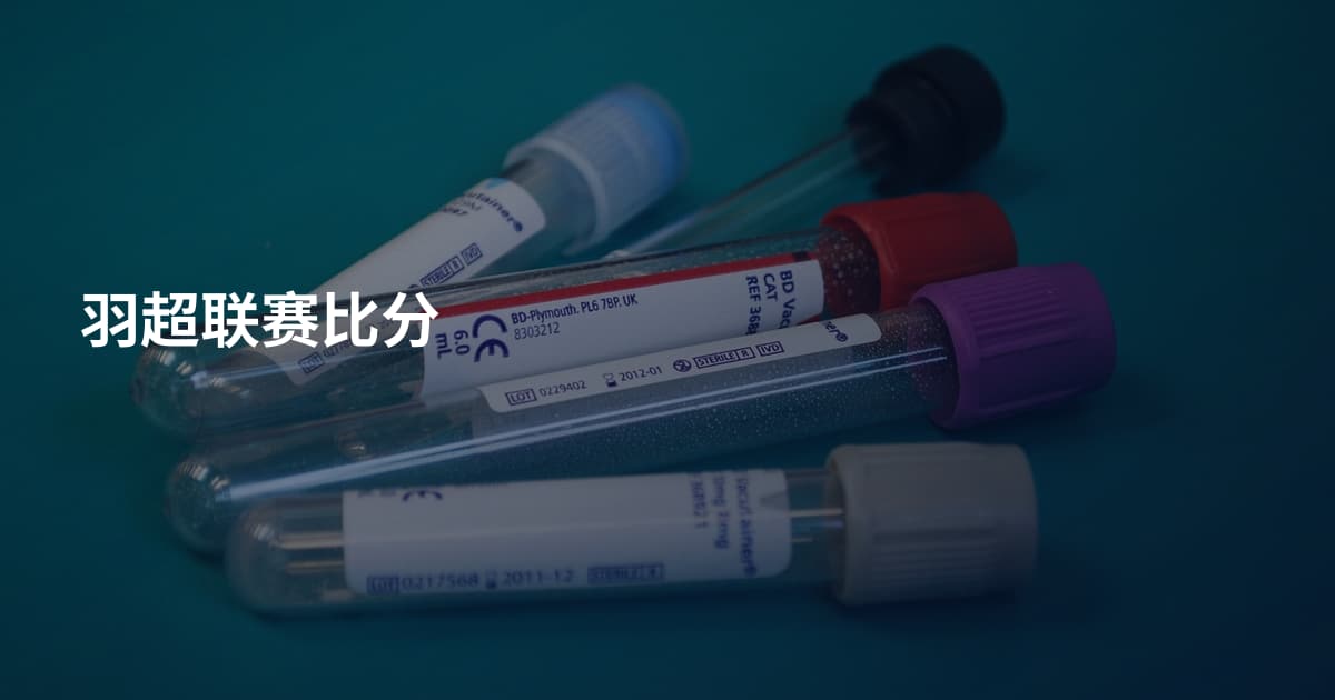 羽超联赛比分