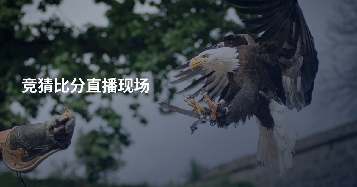 竞猜比分直播现场