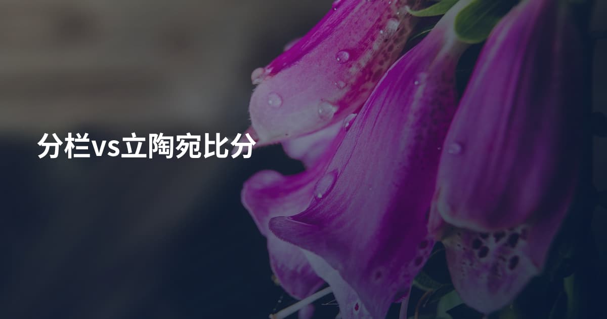 分栏vs立陶宛比分