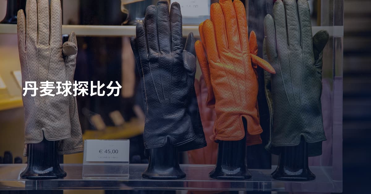 丹麦球探比分
