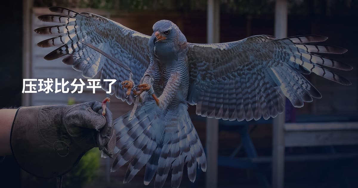 压球比分平了