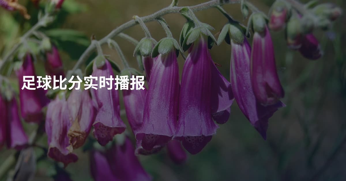 足球比分实时播报