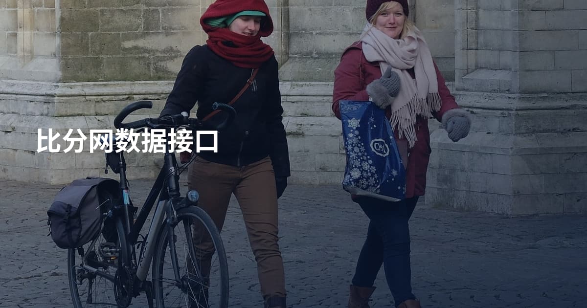 比分网数据接口