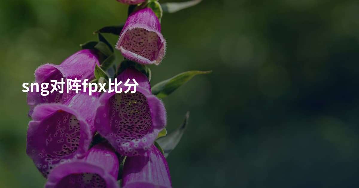 sng对阵fpx比分