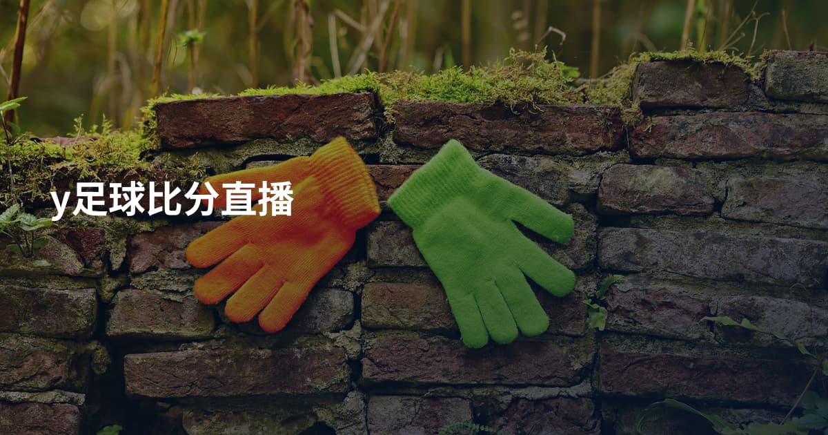 y足球比分直播