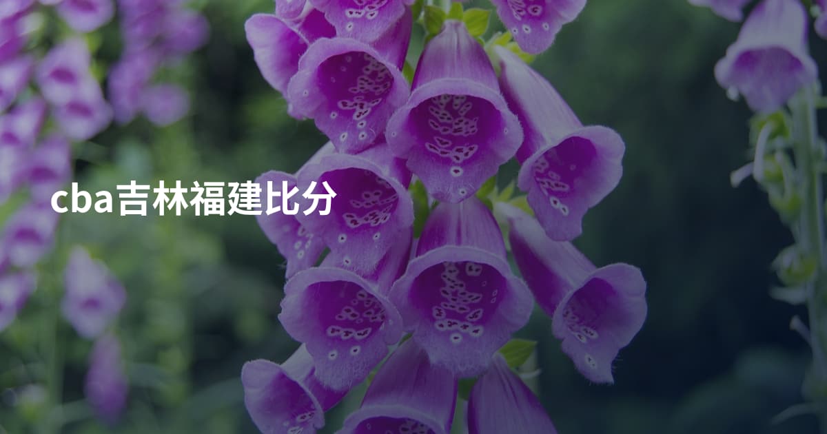 cba吉林福建比分