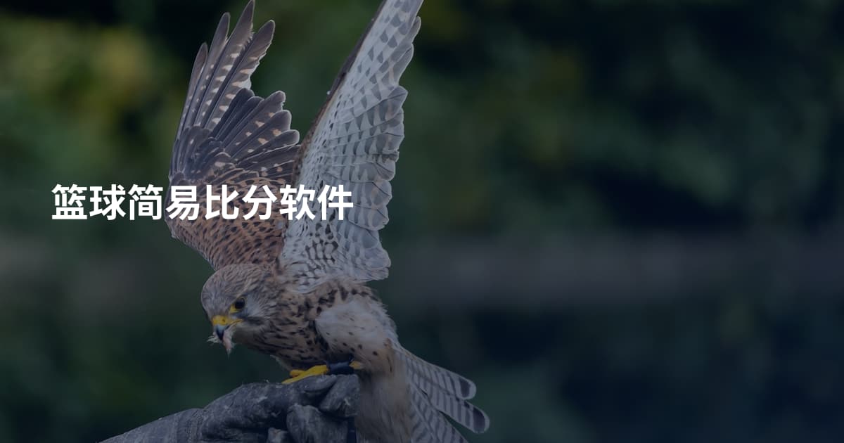 篮球简易比分软件