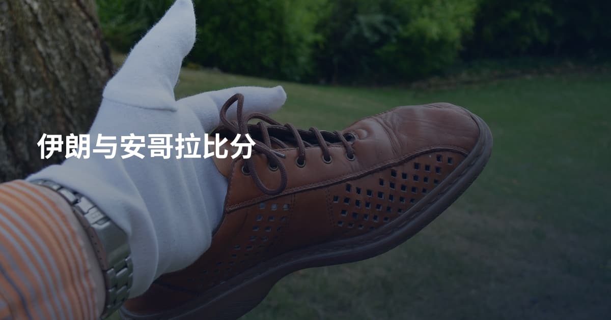 伊朗与安哥拉比分