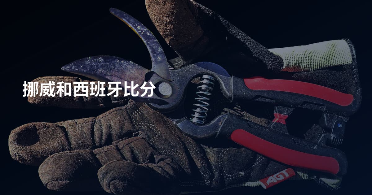 挪威和西班牙比分