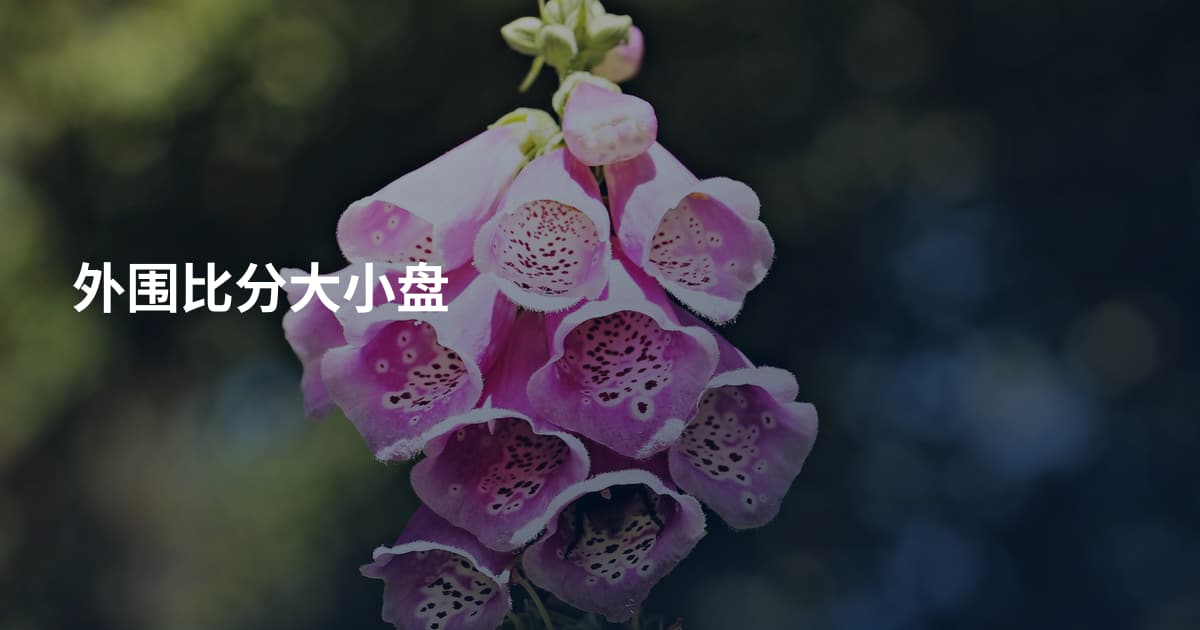 外围比分大小盘