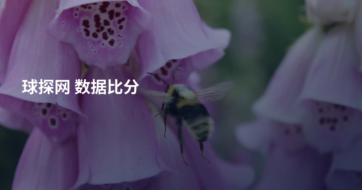 球探网 数据比分