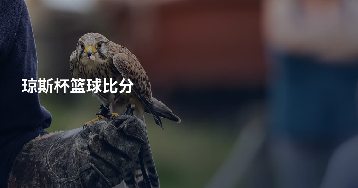琼斯杯篮球比分