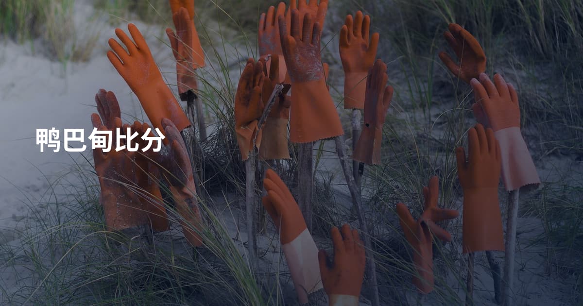 鸭巴甸比分