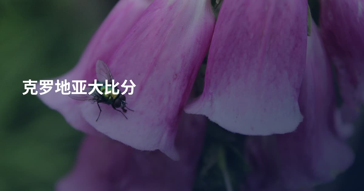 克罗地亚大比分