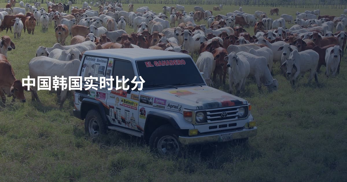 中国韩国实时比分