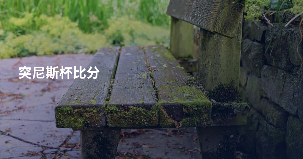突尼斯杯比分