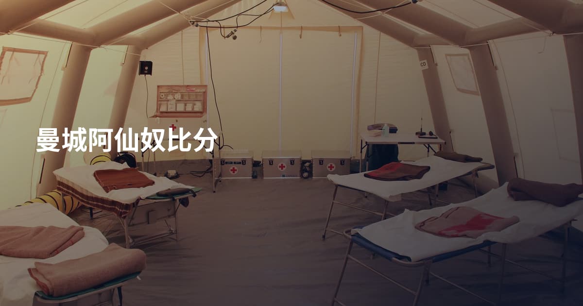 曼城阿仙奴比分