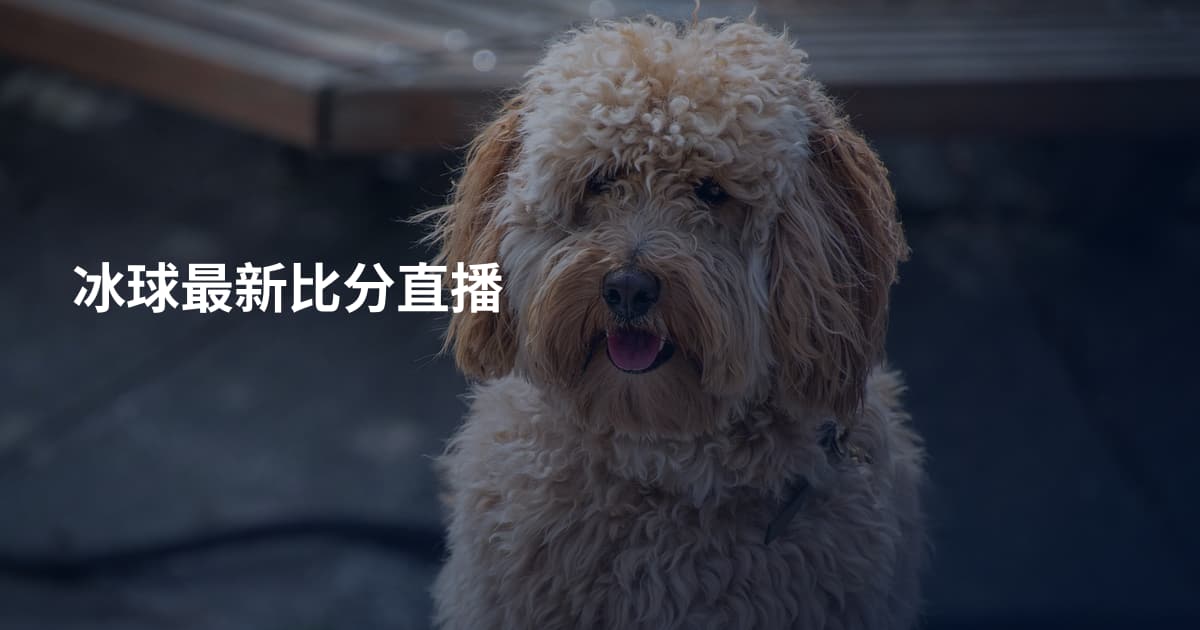 冰球最新比分直播