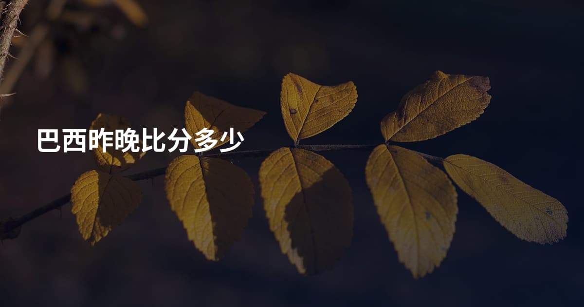 巴西昨晚比分多少