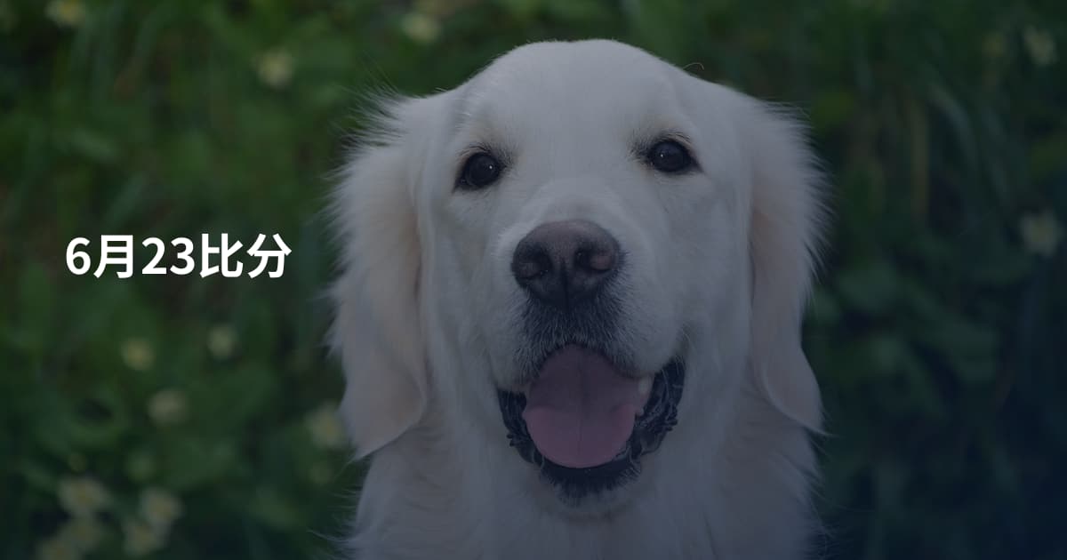 6月23比分