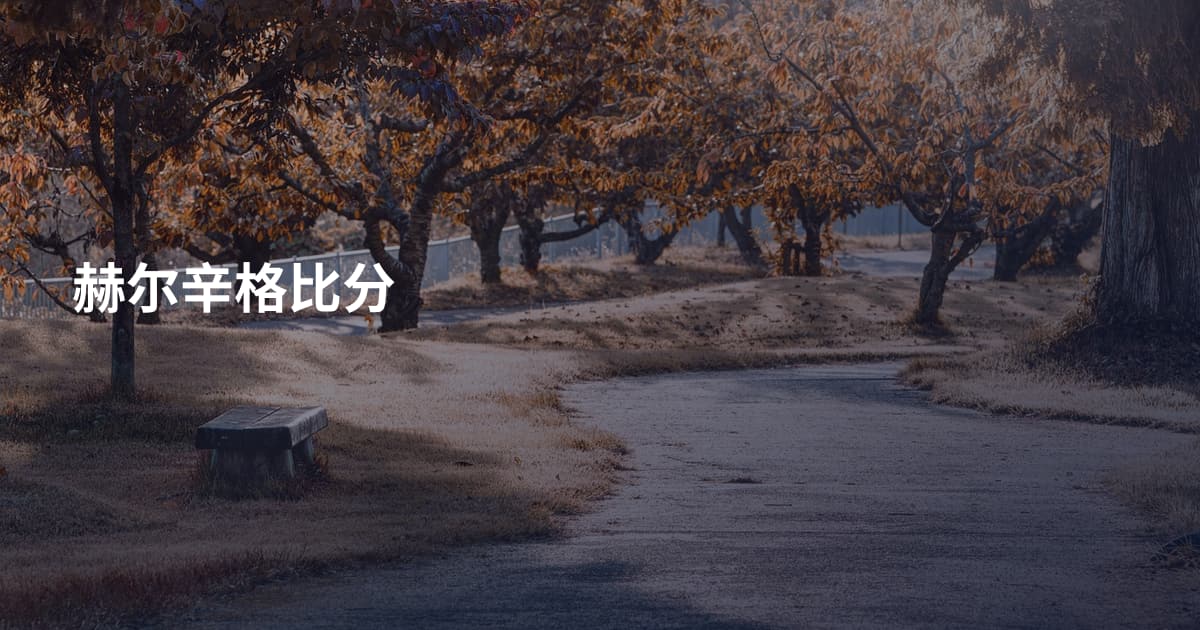 赫尔辛格比分