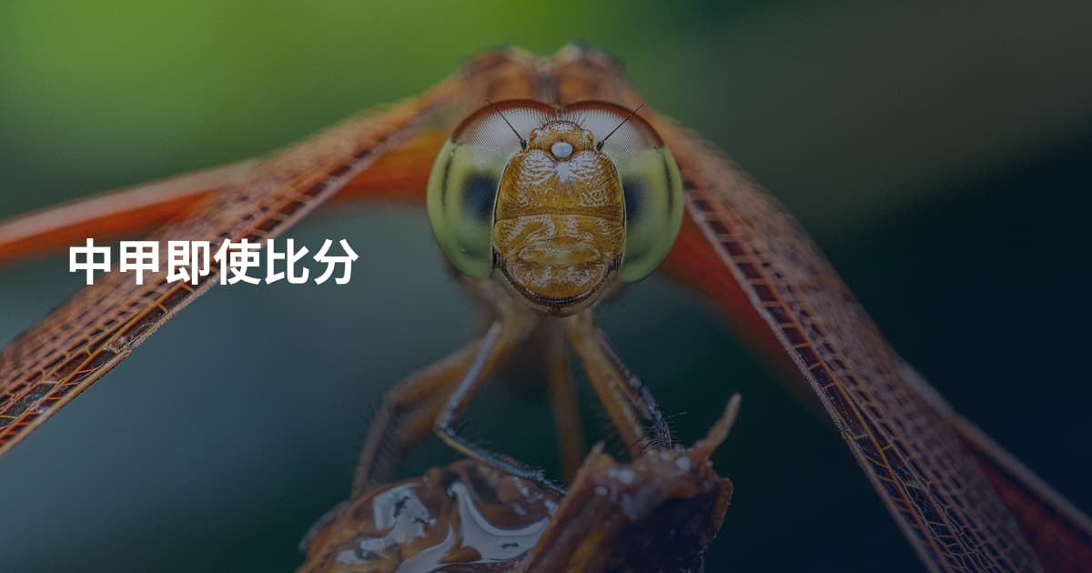中甲即使比分
