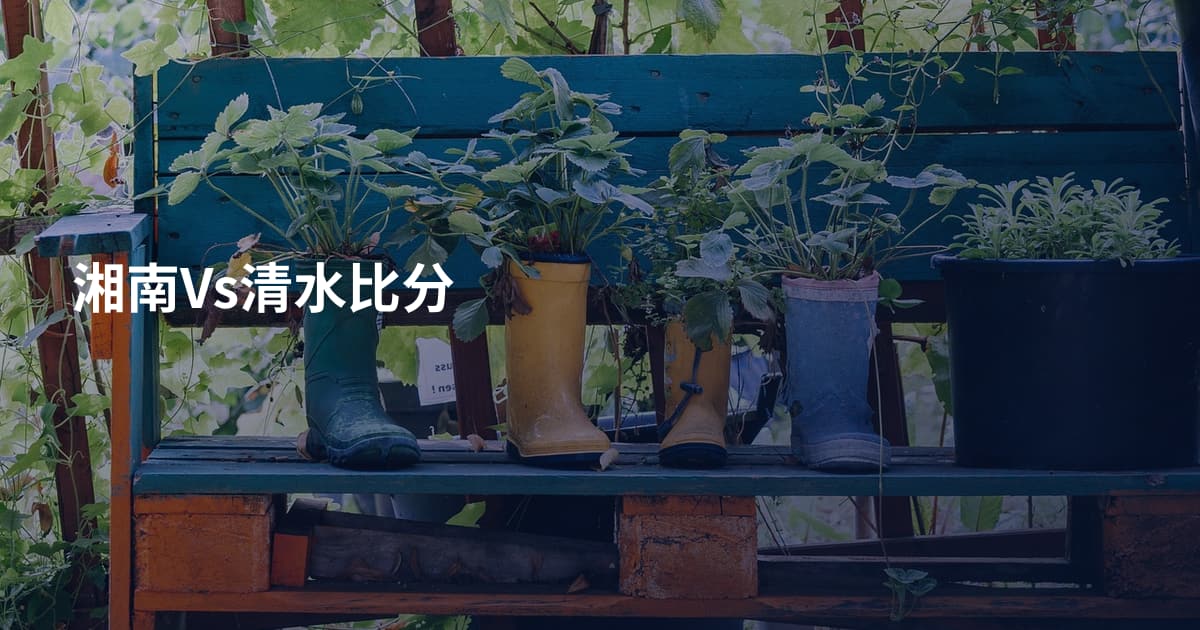 湘南Vs清水比分