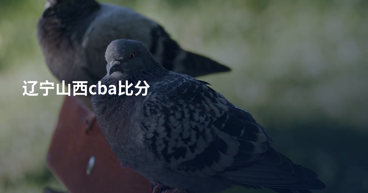 辽宁山西cba比分