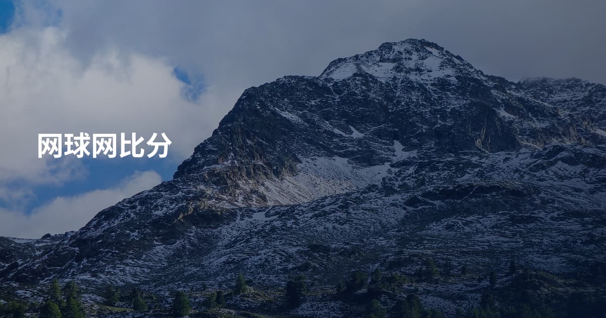 网球网比分