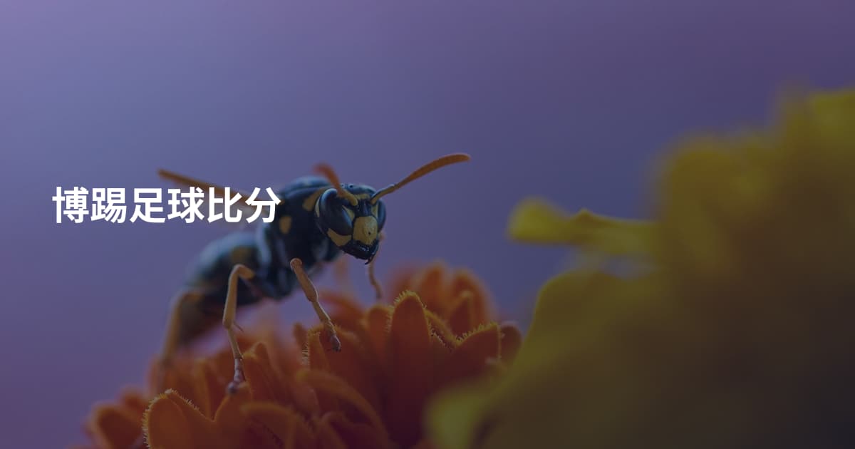 博踢足球比分
