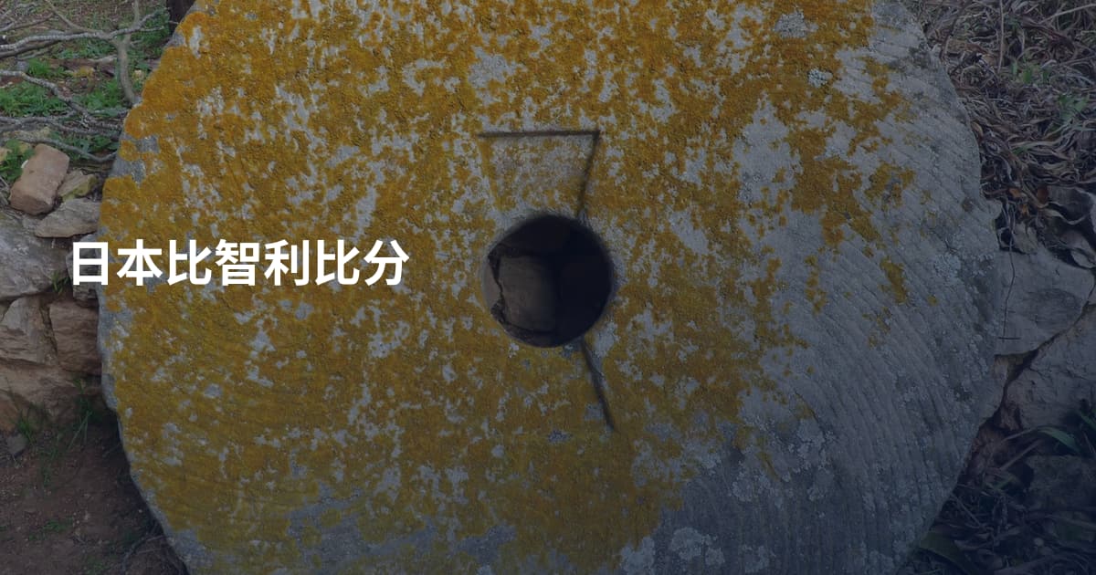 日本比智利比分