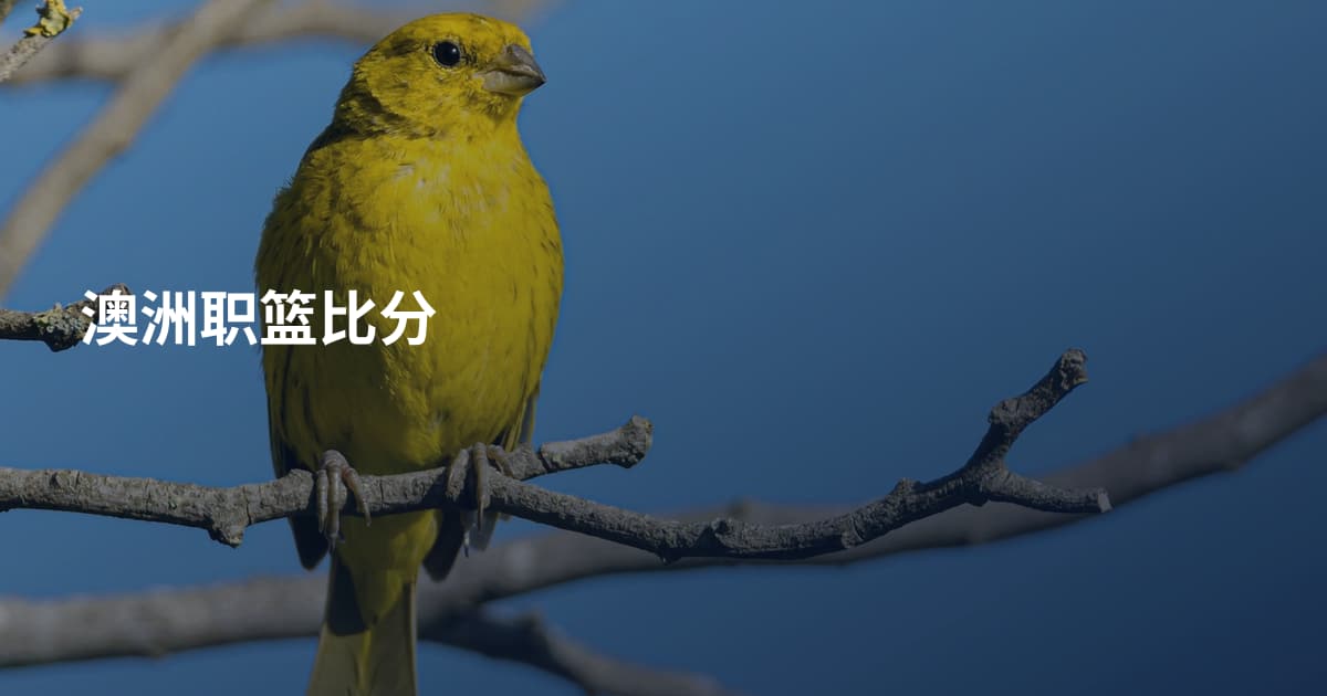 澳洲职篮比分