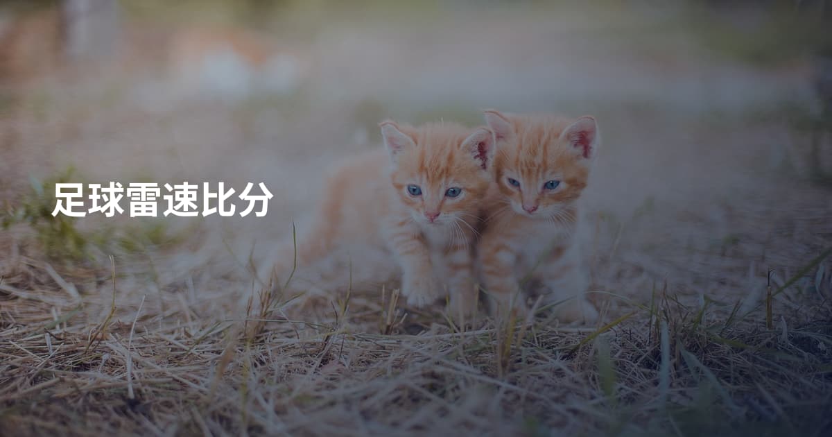 足球雷速比分