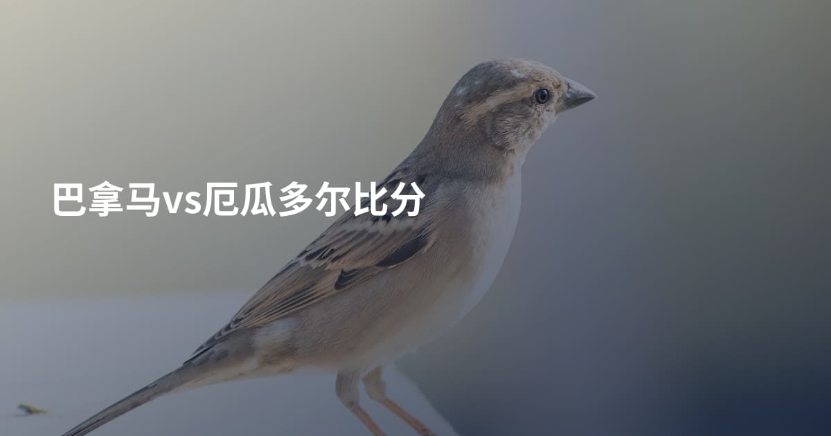 巴拿马vs厄瓜多尔比分