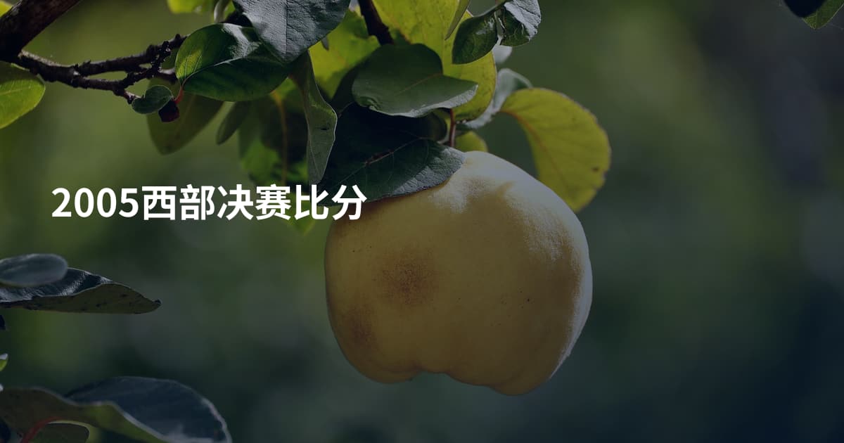 2005西部决赛比分
